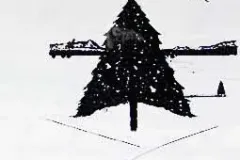 k31